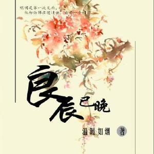 良辰已晚
