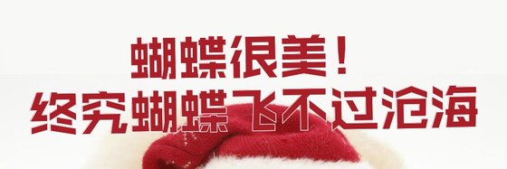 蝴蝶很美！終究蝴蝶飛不過滄海